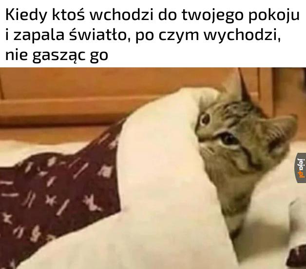 A ty mieszkasz sam