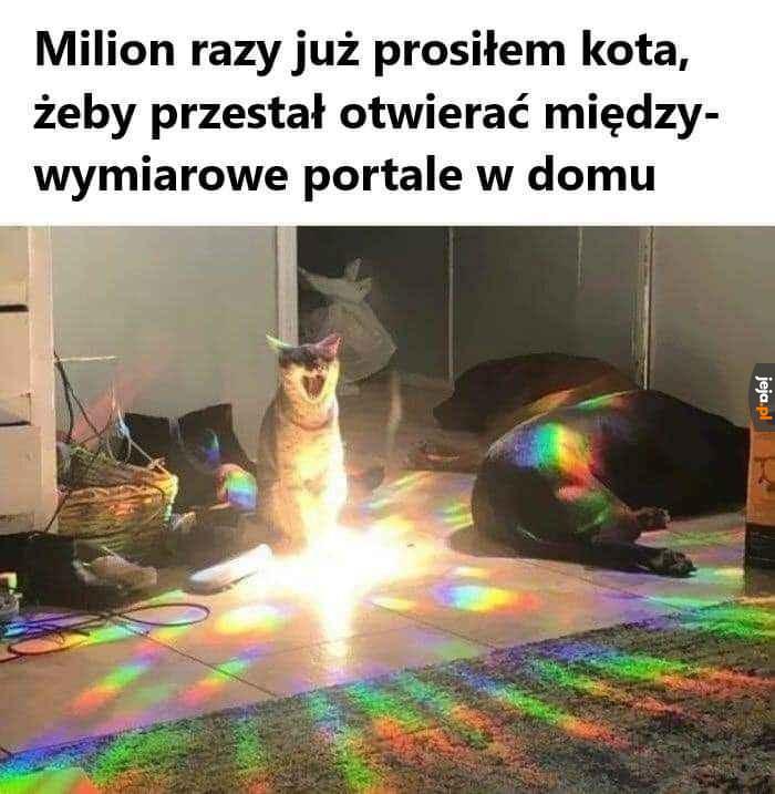 Co Wy wtedy robicie?