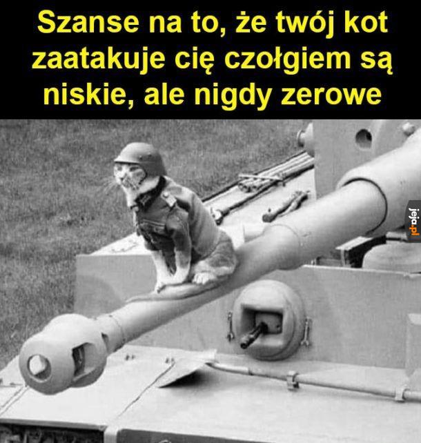 Tytuł