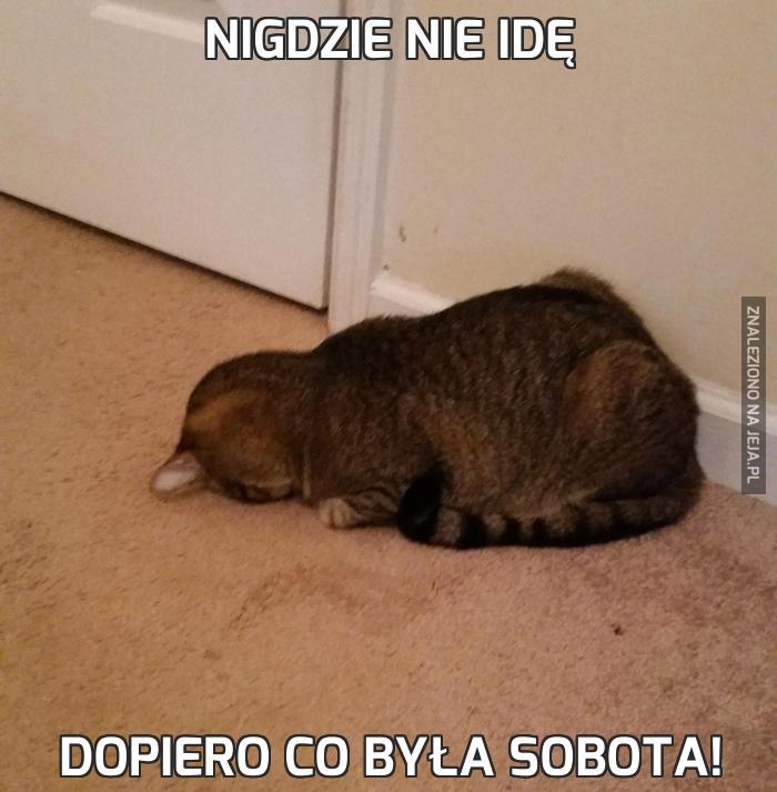 Nigdzie nie idę