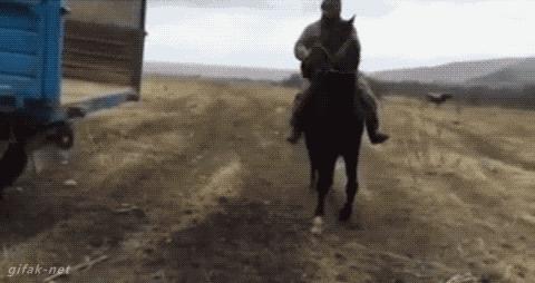 Wskakuj koniu, musimy jechać!