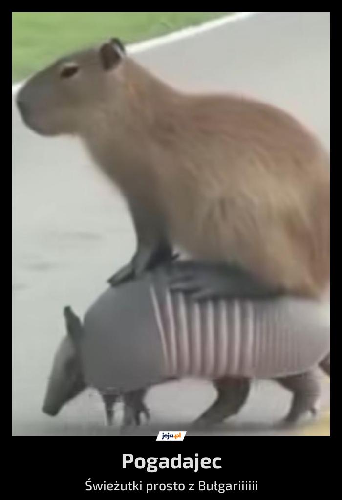 Pogasrajec