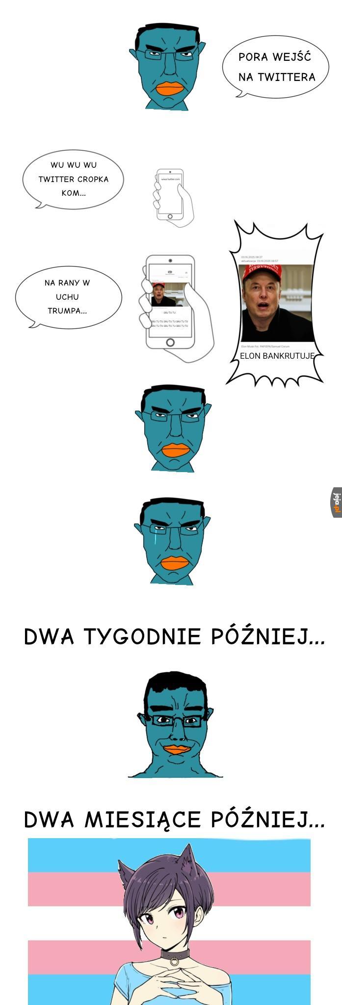 Bardzo prawdziwa historia
