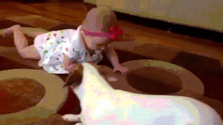 Pies uczy dziecko raczkowania