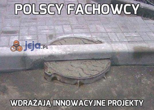 Polscy fachowcy