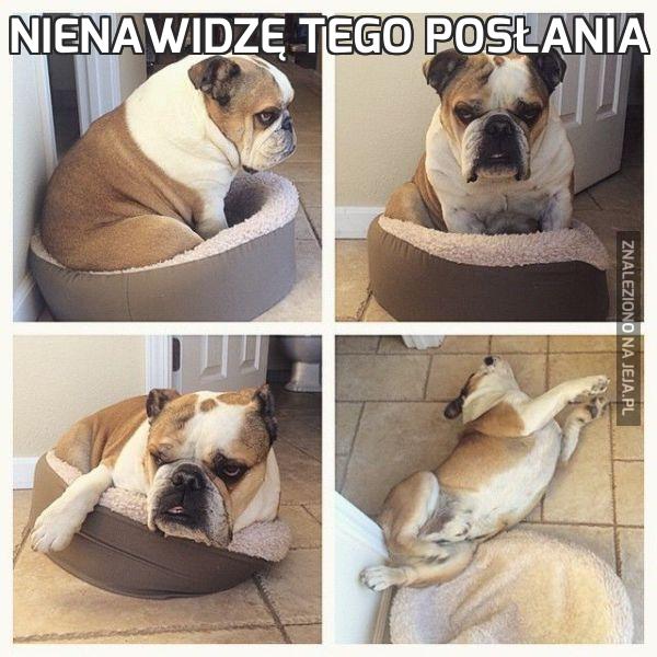 Nienawidzę tego posłania