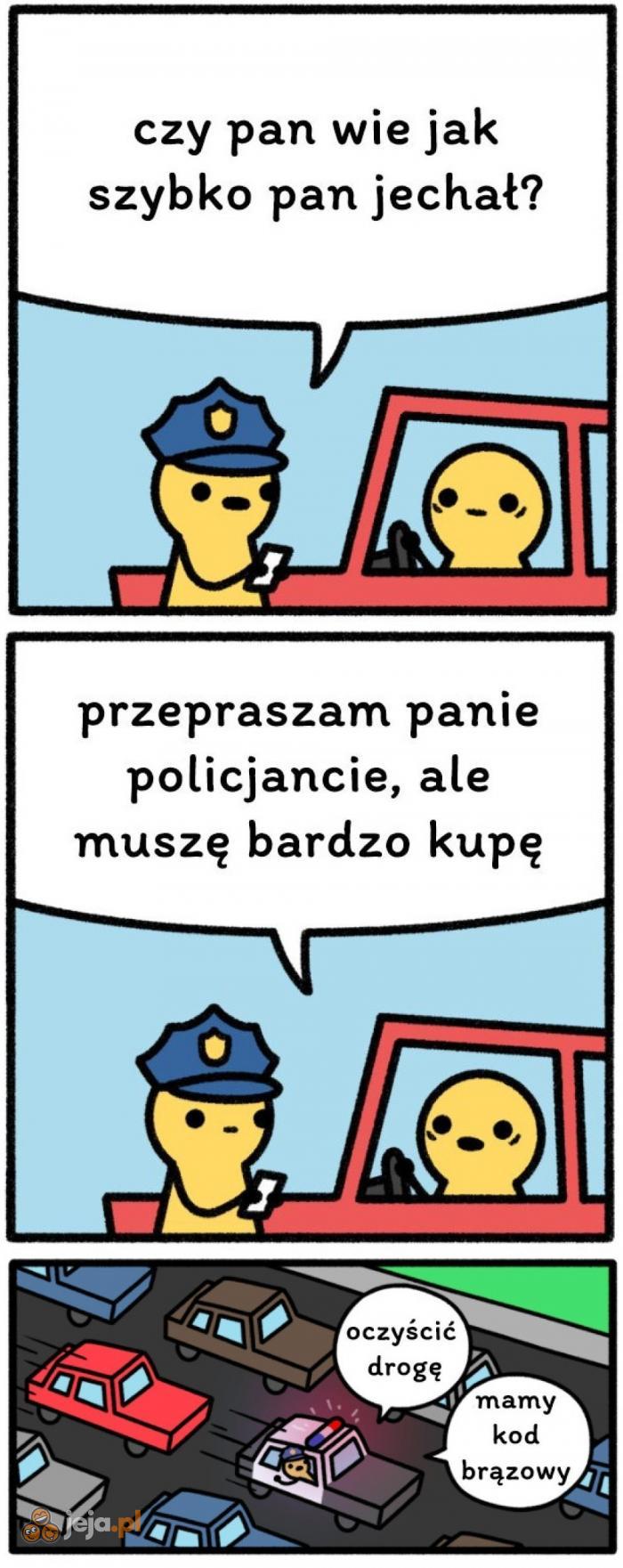 Kod brązowy