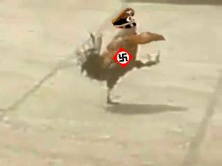 Nazi-kurczak