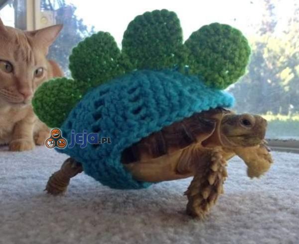 Specjalne ubranie dla żółwia