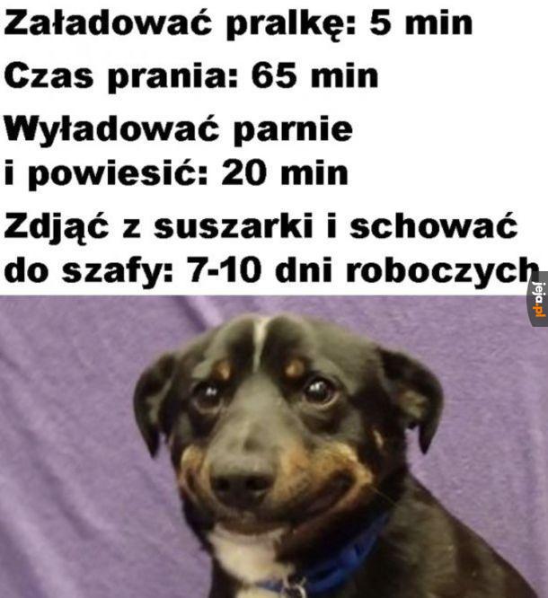 Codziennie walczymy o jakościowy kontent na stronie