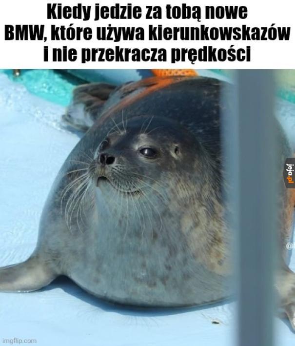 Ja wiem od kogo wy są