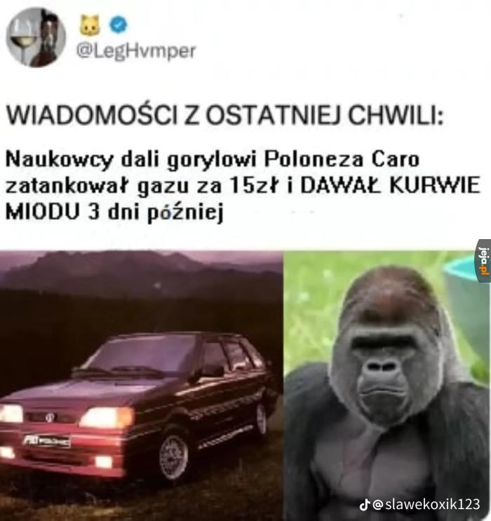 Lol to ja