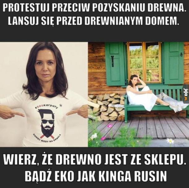 Walka o przetrwanie lasów
