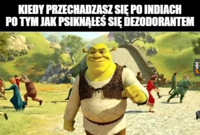 Tarcza