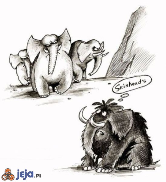 Przyczyna wyginięcia mamutów