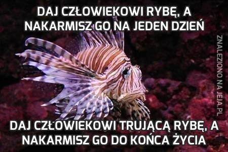 Daj człowiekowi rybę, a nakarmisz go na jeden dzień