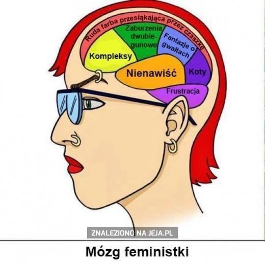 Mózg femin(az)istki