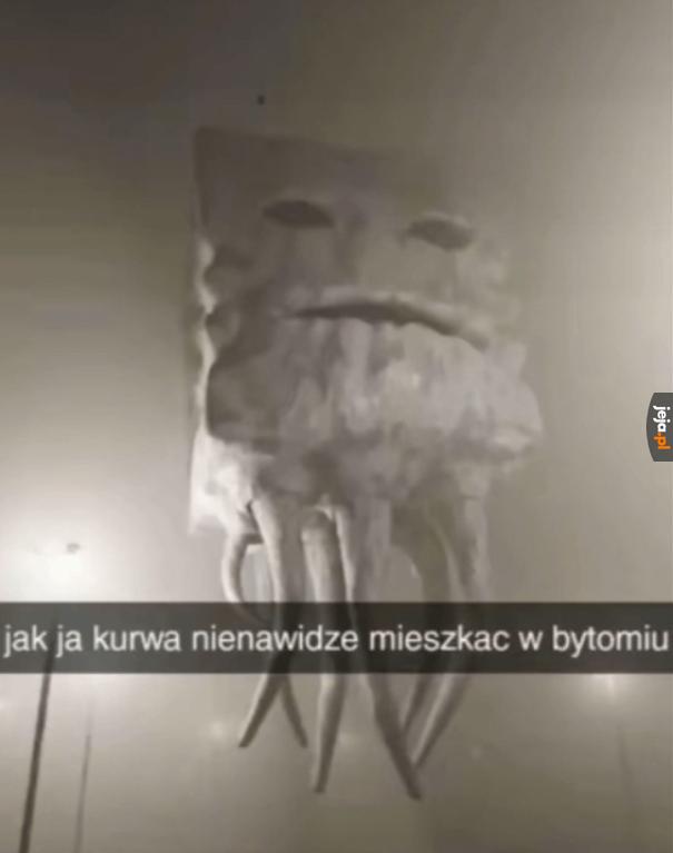 Co się odwala w tym Bytomiu no żesz kurde
