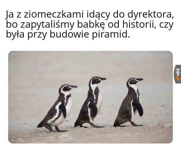 Ale za co?