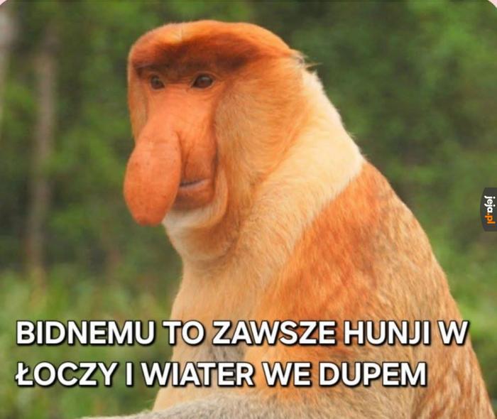 Siema wszystkim jestem tu nowy.