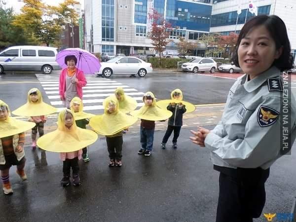 Świetny sposób na ochronę przed deszczem