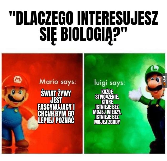 "Wolność ptaków mnie obraża, zamknę je wszystkie w klatkach"