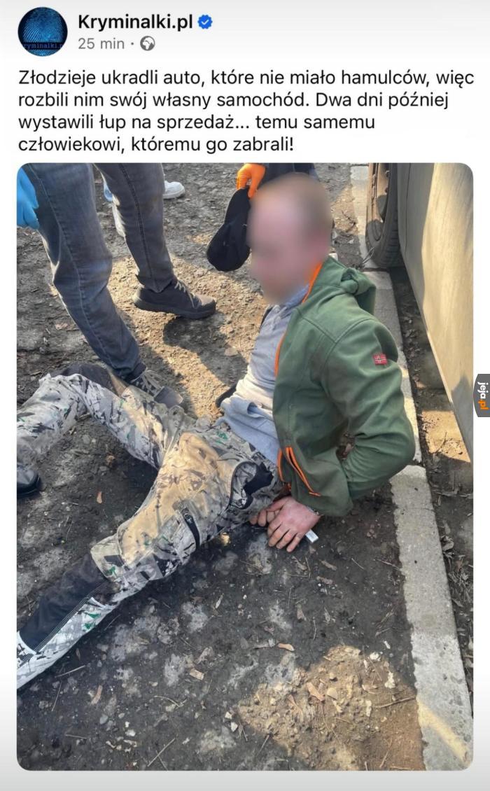 Synek mam pomysła