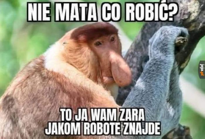 Lepiej się nie wychylać z nudą