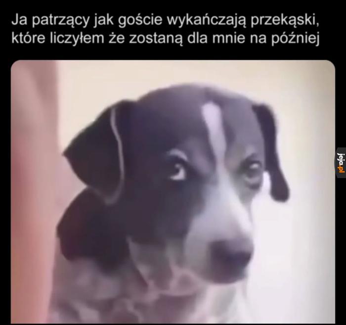 Ostatni raz kupuję ptasie mleczko