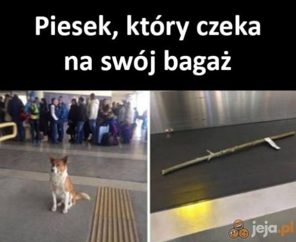 Ale słodziak!