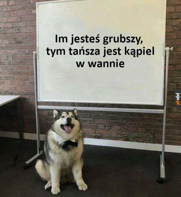 Fakty
