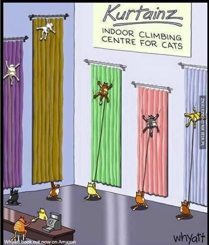 Ścianki wspinaczkowe dla kotów