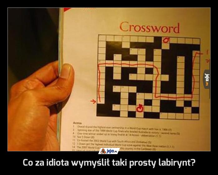 Co za idiota wymyślił taki prosty labirynt?