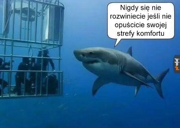 No dalej, otwórzcie