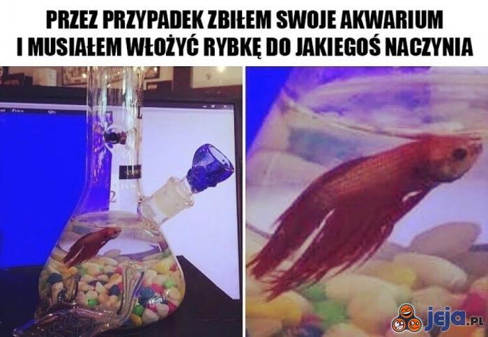 Trzeba sobie jakoś radzić