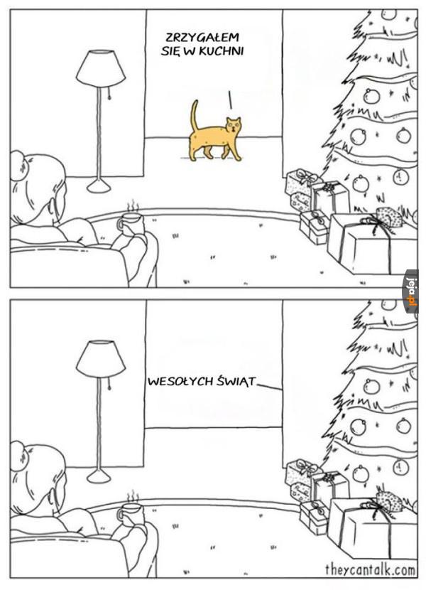 Święta z kotem