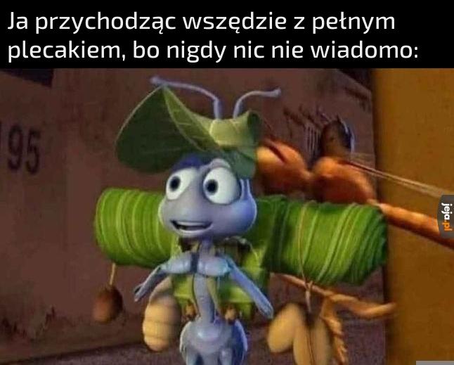 Przezorny zawsze ubezpieczony