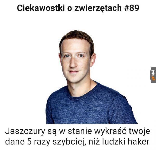 Wiedziałeś?