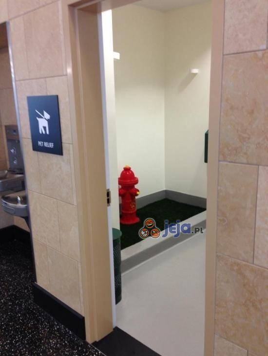 Toaleta dla psów na lotnisku