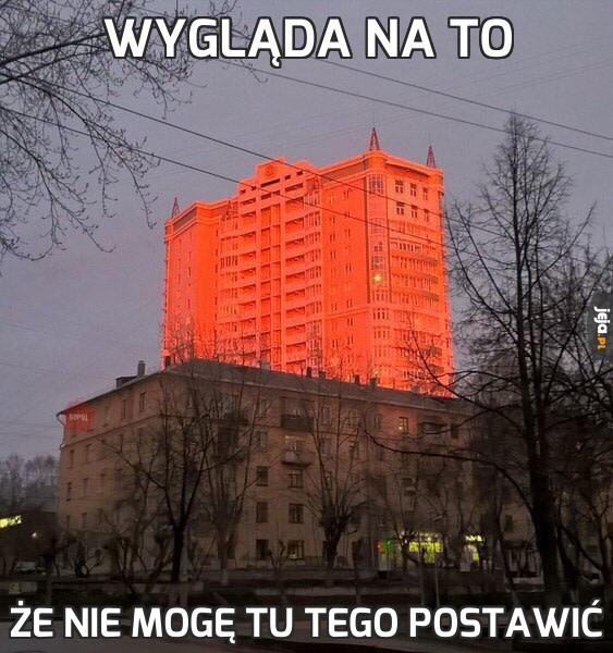 Wygląda na to