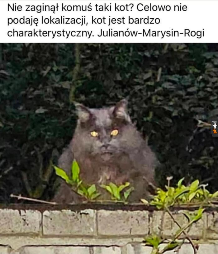 Wygląda bardziej jakby uciekł z laboratorium