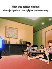 Nazywam się Pierniczek, mam 4 latka i ptaki lotne boją się mnie