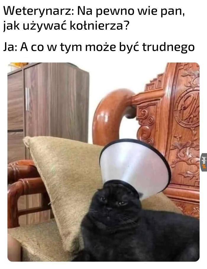 Pasuje jak ulał