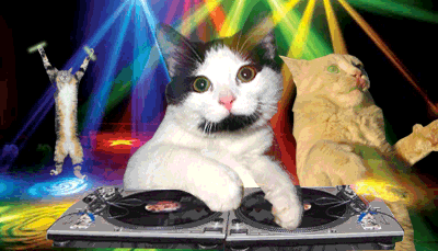 Najlepszy DJ w mieście