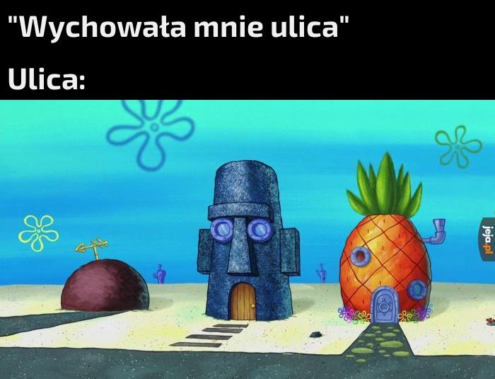To jest Krynica moja ulica