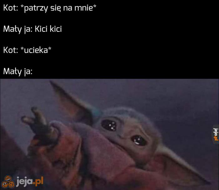 Kocie, dlaczego taki jesteś?