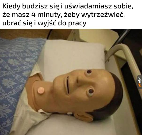 No chyba że prowadzisz stronę o pomarańczach