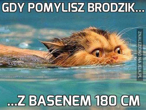 Gdy pomylisz brodzik...