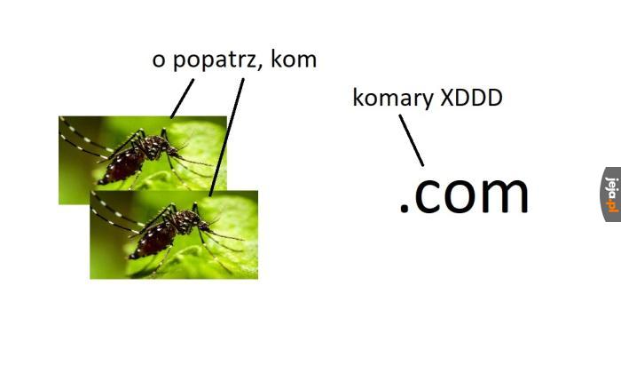 Komary i com
