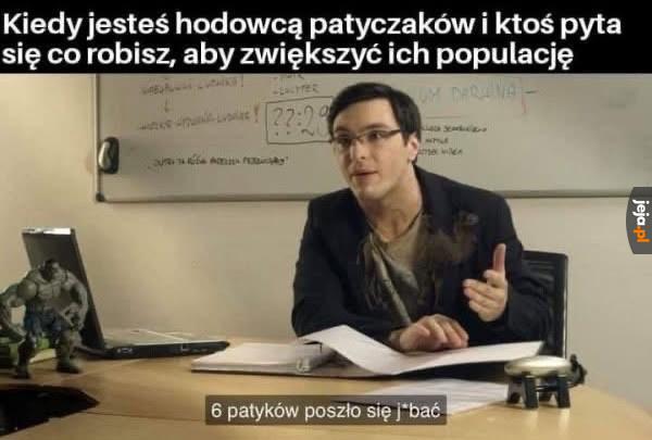 Ktoś musi za to beknąć